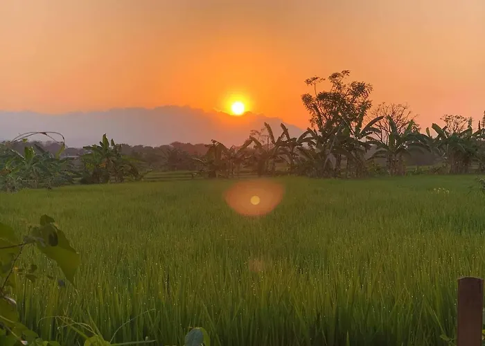 Beachfront Rice Field View Lovina Serenity Bali